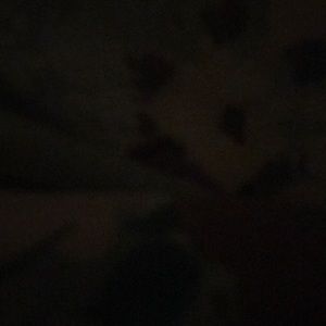 Meet your Posher, Kendall